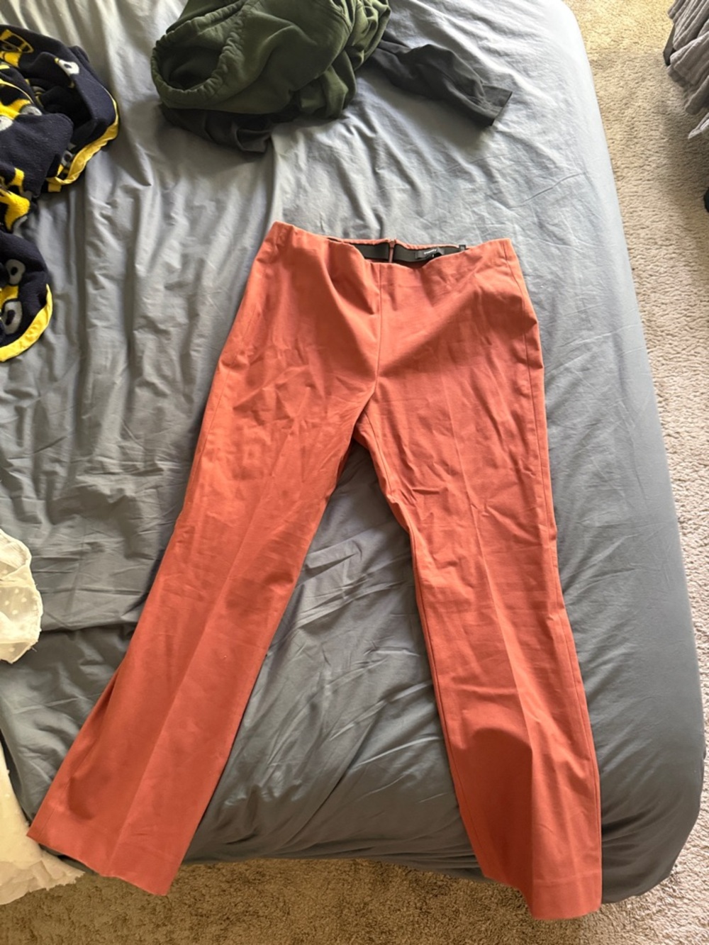 Theory Rust-Red Work Pants - Terra Cotta